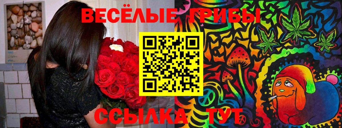 Кировск  Псилоцибиновые грибы мухоморы  Вход с VPN 